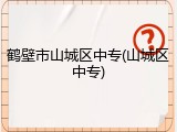 鹤壁市山城区中专(山城区中专)