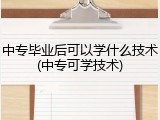 中专毕业后可以学什么技术(中专可学技术)
