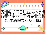 贵州电子信息职业技术学院有哪些专业，王牌专业分析(贵电职院专业及王牌)