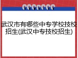 武汉市有哪些中专学校技校招生(武汉中专技校招生)