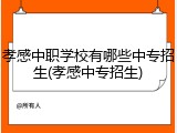 孝感中职学校有哪些中专招生(孝感中专招生)