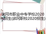 武冈市职业中专学校2020年招生(武冈职校2020招生)