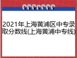 2021年上海黄浦区中专录取分数线(上海黄浦中专线)