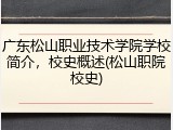 广东松山职业技术学院学校简介，校史概述(松山职院校史)