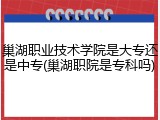巢湖职业技术学院是大专还是中专(巢湖职院是专科吗)