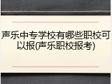 声乐中专学校有哪些职校可以报(声乐职校报考)
