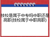 技校是属于中专吗中职还是高职(技校属于中职高职)