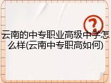 云南的中专职业高级中学怎么样(云南中专职高如何)
