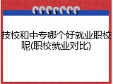 技校和中专哪个好就业职校呢(职校就业对比)