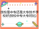 技校是中专还是大专技术学校好(技校中专大专对比)
