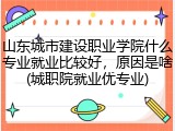 山东城市建设职业学院什么专业就业比较好，原因是啥(城职院就业优专业)