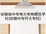 安徽省中专考大专有哪些学校(安徽中专升大专校)