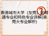 香港城市大学（东莞）的普通专业和特色专业详解(港莞大专业解析)