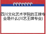 四川文化艺术学院的王牌专业是什么(川艺王牌专业)