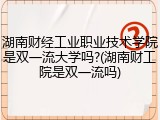 湖南财经工业职业技术学院是双一流大学吗?(湖南财工院是双一流吗)