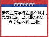 武汉工商学院在哪个城市，是本科吗，第几批(武汉工商学院 本科 二批)