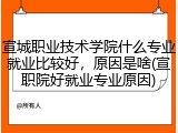 宣城职业技术学院什么专业就业比较好，原因是啥(宣职院好就业专业原因)