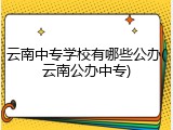 云南中专学校有哪些公办(云南公办中专)