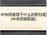 中专团委是干什么的职校呢(中专团委职能)