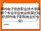 郑州电子信息职业技术学院哪个专业毕业就业前景比较好(郑州电子职院就业好专业)