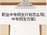 职业中专招生计划怎么写(中专招生方案)
