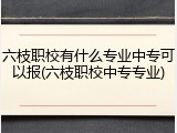 六枝职校有什么专业中专可以报(六枝职校中专专业)