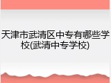 天津市武清区中专有哪些学校(武清中专学校)