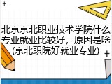 北京京北职业技术学院什么专业就业比较好，原因是啥(京北职院好就业专业)