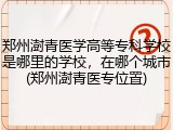 郑州澍青医学高等专科学校是哪里的学校，在哪个城市(郑州澍青医专位置)