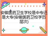 安徽医药卫生学校是中专还是大专(安徽医药卫校学历层次)