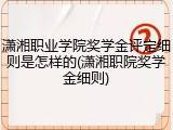 潇湘职业学院奖学金评定细则是怎样的(潇湘职院奖学金细则)