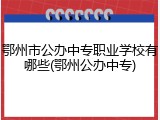 鄂州市公办中专职业学校有哪些(鄂州公办中专)