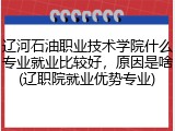 辽河石油职业技术学院什么专业就业比较好，原因是啥(辽职院就业优势专业)