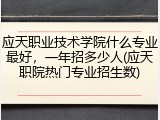 应天职业技术学院什么专业最好，一年招多少人(应天职院热门专业招生数)