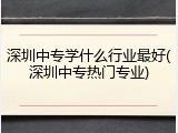 深圳中专学什么行业最好(深圳中专热门专业)