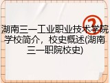 湖南三一工业职业技术学院学校简介，校史概述(湖南三一职院校史)