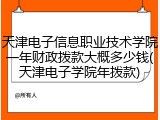 天津电子信息职业技术学院一年财政拨款大概多少钱(天津电子学院年拨款)