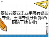 攀枝花攀西职业学院有哪些专业，王牌专业分析(攀西职院王牌专业)