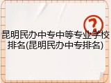 昆明民办中专中等专业学校排名(昆明民办中专排名)