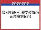 武冈市职业中专学校简介(武冈职专简介)