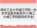 南京工业大学浦江学院一年奖学金最多能拿多少(南工大浦江学院最高奖学金)