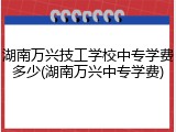 湖南万兴技工学校中专学费多少(湖南万兴中专学费)