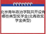 北京青年政治学院共开设有哪些类型奖学金(北青政奖学金类型)