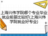 上海兴伟学院哪个专业毕业就业前景比较好(上海兴伟学院就业好专业)