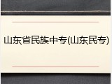 山东省民族中专(山东民专)