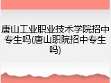 唐山工业职业技术学院招中专生吗(唐山职院招中专生吗)