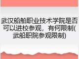 武汉船舶职业技术学院是否可以进校参观，有何限制(武船职院参观限制)