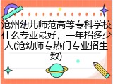 沧州幼儿师范高等专科学校什么专业最好，一年招多少人(沧幼师专热门专业招生数)