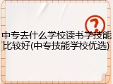 中专去什么学校读书学技能比较好(中专技能学校优选)