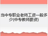 当中专职业老师工资一般多少(中专教师薪资)